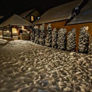 Tara Apartmani Malešević - 4 lux