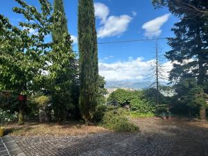 Il Poggio