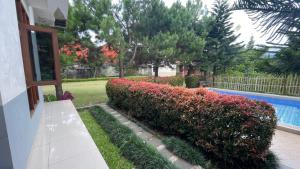 Garden Villa Lembang 3 Kamar Kolam Bersama