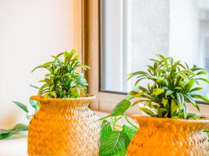 Boheme Appart Cosy Centre Dijon