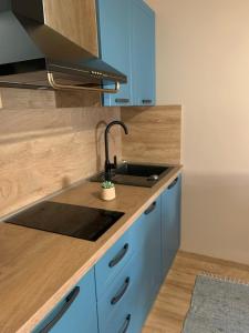 Parentium town center