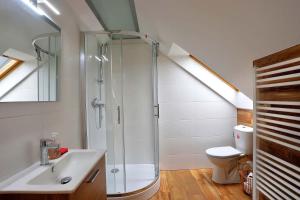 Apartmán Král Karel