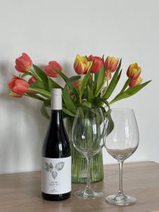 Lust&Desire BDSM Krakow Suite