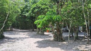 Cananéia Apoio Tours