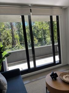 Departamento Pucon Andino