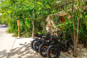 Teva Tulum, Aldea Zamá