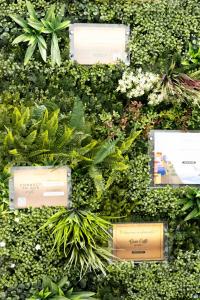 San Bartolomeo House