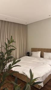 استديو درب الحرمين