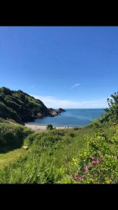 Lofthouse - secluded quirky cottage with sea views!