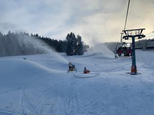 Prázdninový dům u Špičáku