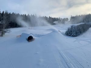 Prázdninový dům u Špičáku