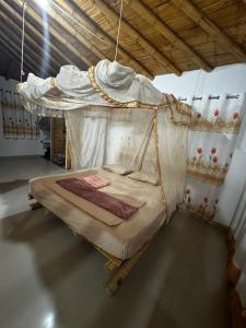 VISTA 180 ORGANOS - Piura