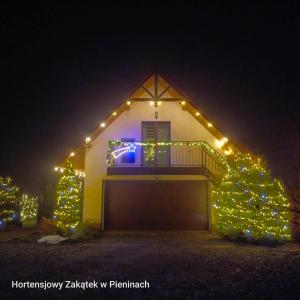 Hortensjowy Zakątek w Pieninach