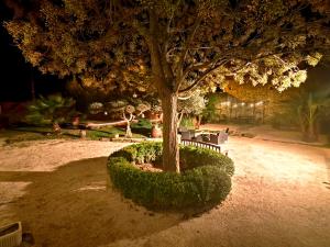Maison dhôte Mas de Castille entre Uzès et le pont du Gard