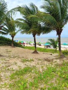 Flat Alta Marine 411