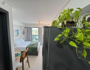 Makani Beach - Tamandaré