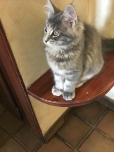 Demeure dhôtes Les Irisynes