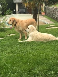 Demeure dhôtes Les Irisynes