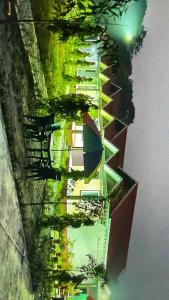 Pine Apple Resorts