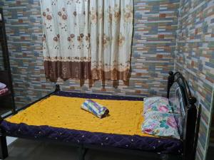 Nyks transient house