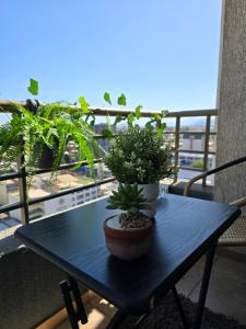 Hermosa vista y excelente ubicacion central 2 dormitorios