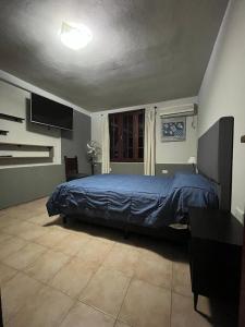 Departamento Vivaldi