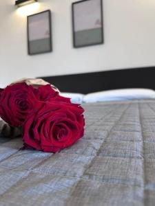 Mediterranea Apartments Aurora img5