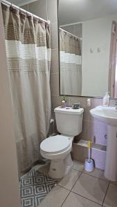 Departamento Tamarugal