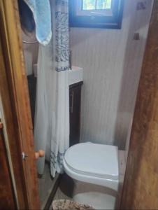 Cabaña pequeña en el Bosque