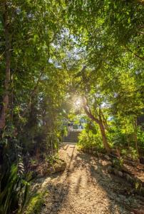 Bamoa Luxury Playa Del Carmen Apartment Playacar