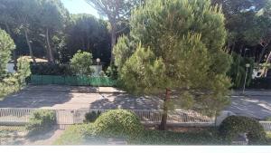 Apartment in Eraclea Mare 25161