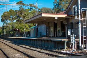 Quirky on Oak Street