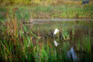 Quirky on Oak Street