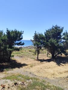 Casa para 12 personas frente a playa Cardonal