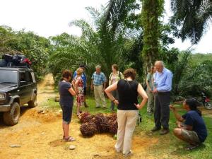 WOOD CABIN LODGE IN THE FOREST book here treking with us