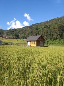 บ้านพัก กามู ดอยอินทนนท์ Gamoo homestay