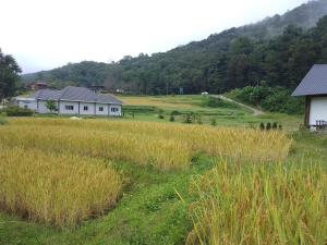 บ้านพัก กามู ดอยอินทนนท์ Gamoo homestay