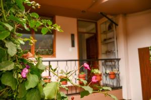 Hotel Boutique MIRANDO AL SOL