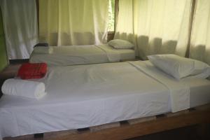 capybara tours and lodge