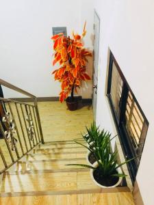 Reach the fun at heavenly angels rooftop