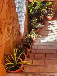 Reach the fun at heavenly angels rooftop