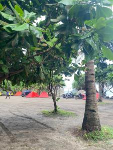 Sewa Tenda Teh Hilda