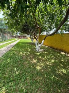 Chácara Rio Acima Jundiaí Piscina Aquec Solar Ar Cond Quadra Casa na Arvore