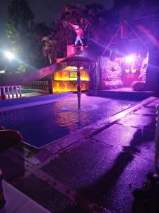 Villa Itzae Hotel - Piscina y Naturaleza