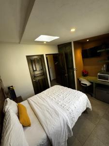 Apolonia en ValQuirico