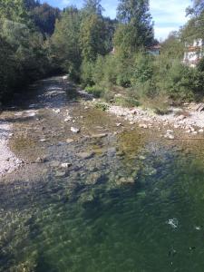 Ferienhaus am Fluss