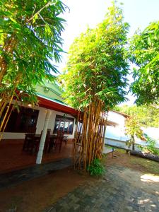 King Coco Mirissa