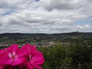 Maisons d'hotes Le Haut Van : photos des chambres