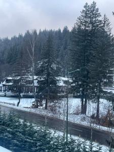 Velvet by Poiana Brasov Saună &Jacuzzi