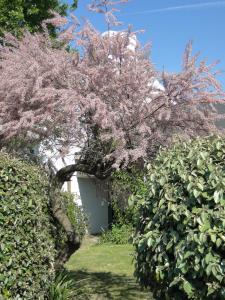 Hotels Hotel Aux Tamaris : photos des chambres